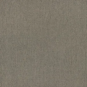 Putty