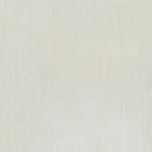 Ice- 3301